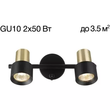 Спот поворотный с включателем Citilux Sat CL505621