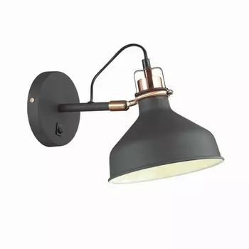 Спот с выключателем Lurdi 3329/1W (Odeon Light)