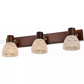 Спот TopLight Shayla TL3730Y-03BB