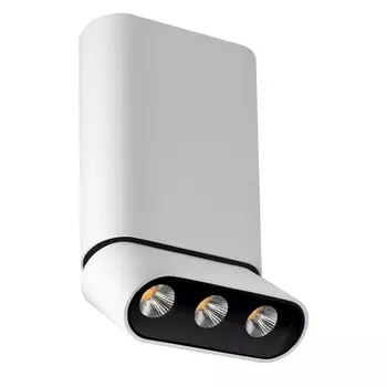 Спот светодиодный Lumien Hall Фергус 8005/3CM-WT-BK