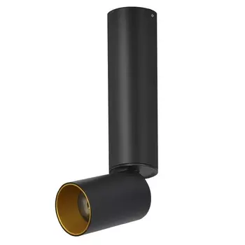 Спот светодиодный Lumien Hall Torin 8001/1CM-BK-GD