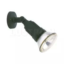 Спот влагозащищенный Spike 40581/06 (Brilliant)