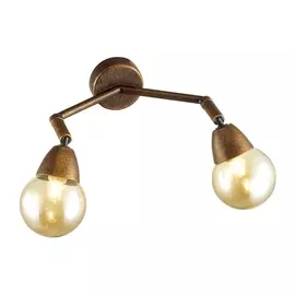 Спот Zianox 3596/2W (Lumion)