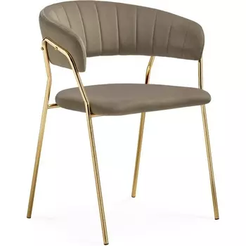 Стул на металлокаркасе Woodville Kamelia 1 cappuccino / gold
