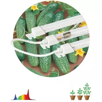 Светильник для растений светодиодный ЭРА FITO-3х10W-LINE-Ra90