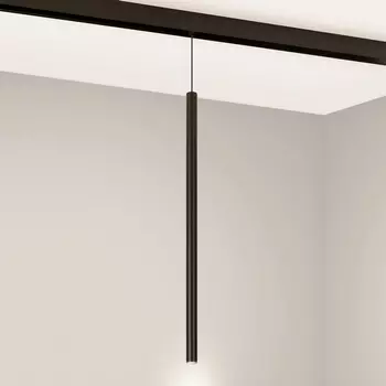 Трековый светильник магнитный MAG-ORIENT-SPOT-HANG-L500-R20-3W Warm3000 (BK, 20 deg, 48V) (Arlight, IP20 Металл) 046897