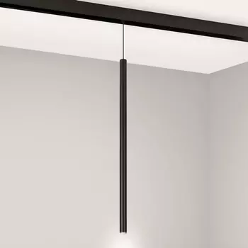 Трековый светильник магнитный MAG-ORIENT-SPOT-HANG-L500-R20-3W Day4000 (BK, 20 deg, 48V) (Arlight, IP20 Металл) 044505
