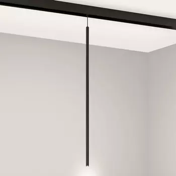 Трековый светильник магнитный MAG-ORIENT-SPOT-HANG-L600-R12-2W Day4000 (BK, 20 deg, 48V) (Arlight, IP20 Металл) 044501