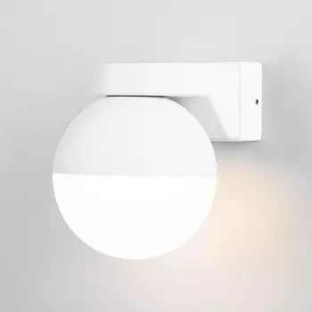 Светильник настенный IP54 Elektrostandard MRL 1028 в форме шара
