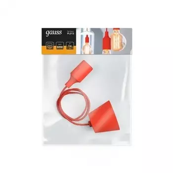 Светильник подвесной Gauss Decor PL013
