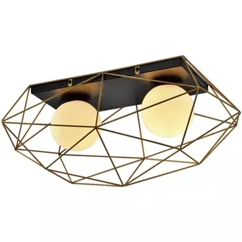 Светильник потолочный Raila 4098-312 2 х Е14 40 Вт (Rivoli)