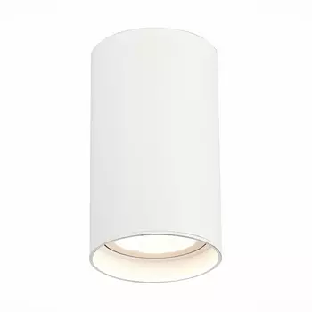 Светильник потолочный накладной светодиодный IP44 ST Luce ST157.542.20