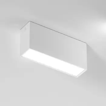 Светильник потолочный светодиодный Elektrostandard Block 25109/LED 10W 4000K белый