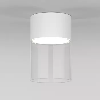 Светильник потолочный светодиодный Elektrostandard Lumen 25047/LED 10W 4000К белый/прозрачный