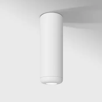 Светильник потолочный светодиодный Elektrostandard Onde 25045/LED 10W 4000K белый