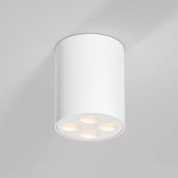 Светильник потолочный светодиодный Elektrostandard Points 25111/LED белый