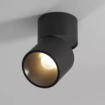 Светильник потолочный светодиодный Elektrostandard Rolly 25112/LED черный