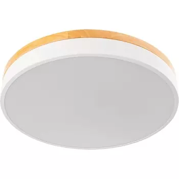 Светильник потолочный светодиодный Ritter Snello 51623 5