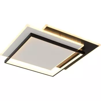 Светильник с пультом потолочный светодиодный Rivoli Beryl 6122-101