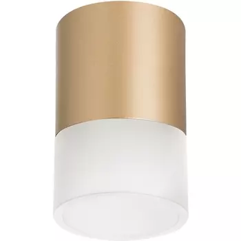 Светильник точечный накладной Lightstar Rullo R349081