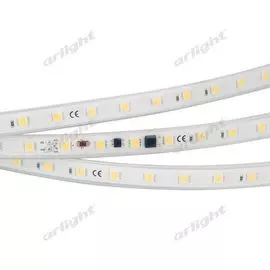 Светодиодная лента ARL-10000PGS 23340 (Arlight)