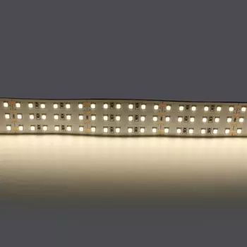 Светодиодная лента белого свечения 24V Lightstar 423004