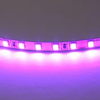 Светодиодная лента цветного свечения 24V, фиолетовый Lightstar 420518