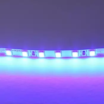 Светодиодная лента цветного свечения 24V, синий Lightstar 420515