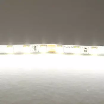 Светодиодная лента холодного белого свечения 24V Lightstar 420505