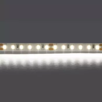 Светодиодная лента холодного белого свечения 24V Lightstar 420805