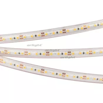 Светодиодная лента герметичная RTW-PS-A120-10mm 12V Warm2700 (9.6 W/m, IP67, 2835, 5m) Вт/м, IP67) 028547(2) Arlight RTW 028547