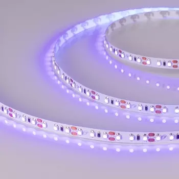 Светодиодная лента RT-A120-8mm 12V UV400 (9.6 W/m, IP20, 2835, 5m) (Arlight, Открытый) 012812(2) (5 шт.)