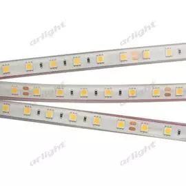 Светодиодная лента RTW 2-5000PGS 13400 (Arlight)
