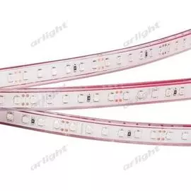 Светодиодная лента RTW 2-5000PGS 24V Green 2x (3528, 600 LED, LUX) (9.6 Вт/м, IP67) 015122 (Arlight)