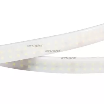 Светодиодная лента RTW 2-5000PW 24V Warm2700 2x2 (3528, 1200 LED, LUX) (19.2 Вт/м, IP66) 018999 (Arlight)