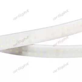 Светодиодная лента RTW 2-5000PW 19000 (Arlight)