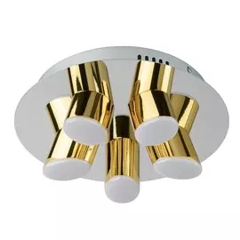 Светодиодная потолочная люстра Flensburg/Flensburg 609013505 (DeMarkt)