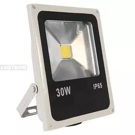 Светодиодный прожектор уличный LFL.597.22 (Imex)