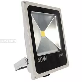 Светодиодный прожектор уличный LFL.597.23 (Imex)