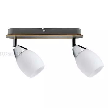 Светодиодный спот Wolba 60073 (Paulmann)