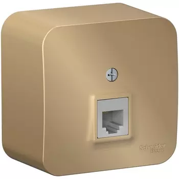Телефонная розетка RJ-11 (титан) Systeme Electric Blanca BLNIA011004