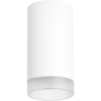 Точечный накладной светильник (214436+203437) Lightstar RULLO R4363437