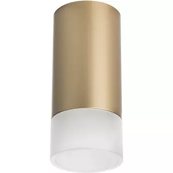 Точечный накладной светильник (214440+202431) Lightstar RULLO R44031