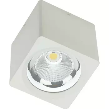 Точечный накладной светодиодный светильник CH-SD220-1 Fiberli Ch-Sd 12120101