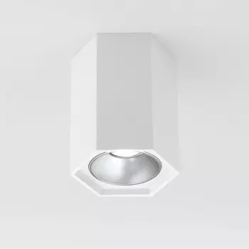 Точечный светильник светодиодный Elektrostandard 25036/LED a055856