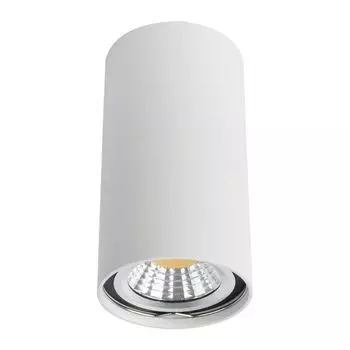 Точечный светильник Arte Lamp Unix A1516PL-1WH