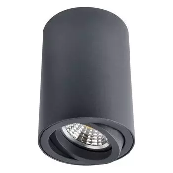Точечный светильник Arte Lamp Sentry A1560PL-1BK