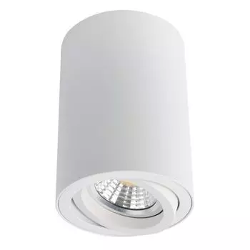 Точечный светильник Arte Lamp Sentry A1560PL-1WH