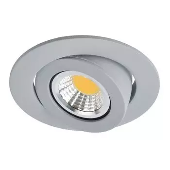 Точечный светильник Arte Lamp Accento A4009PL-1GY