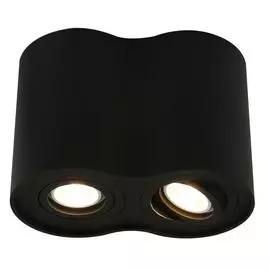 Точечный светильник Arte Lamp Falcon A5644PL-2BK